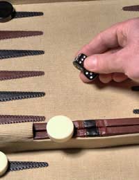 Backgammon Backgammon Rules How To Play